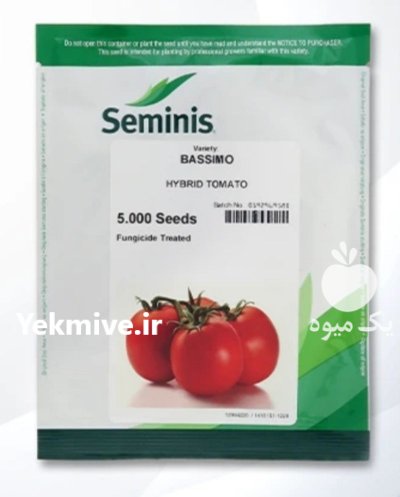 بذر گوجه فرنگی باسیمو در هرمز در گروه خرید و فروش بذر گوجه در یکمیوه -عکس1