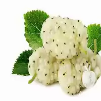 فروش انواع نهال توت در مشکین دشت در گروه خرید و فروش نهال توت در یکمیوه