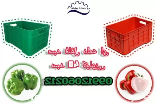 سبد جعبه فلفل دلمه سبد در هرمز در گروه خرید و فروش انواع سبد در یکمیوه -عکس1