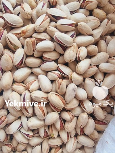 فروش پسته ارگانیک دامغان در سمنان در گروه خرید و فروش پسته در یکمیوه -عکس2