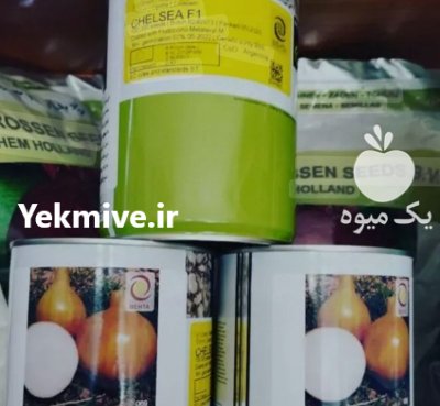 بذر پیاز انزا چلسی روز کوتاه در بوشهر در گروه خرید و فروش بذر پیاز در یکمیوه -عکس1