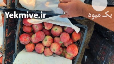 فروش سیب درختی زرد قرمز در بروجن در گروه خرید و فروش سیب در یکمیوه -عکس2