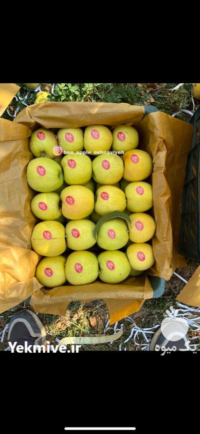 سیب لوکس مناطق کوهستانی اشنویه در ارومیه در گروه خرید و فروش سیب در یکمیوه -عکس3