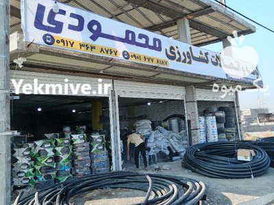 لوله پلی اتیلن نوارتیپ نوار نخی در کهنوج در گروه خرید و فروش اتصالات پلی اتیلن کشاورزی در یکمیوه -عکس2