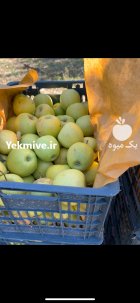 سیب لوکس مناطق کوهستانی اشنویه در ارومیه در گروه خرید و فروش سیب در یکمیوه
