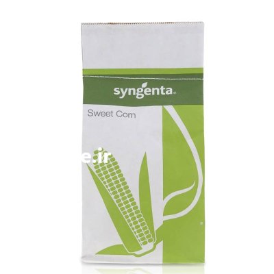 بذر اکسن چوئیت در شیراز در گروه خرید و فروش بذر ذرت در یکمیوه -عکس1