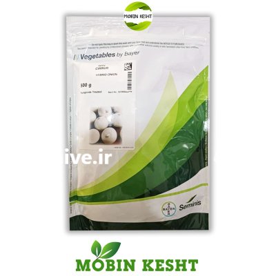 بذر پیاز سفید سایروس در اهواز در گروه خرید و فروش بذر پیاز در یکمیوه -عکس1