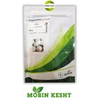 بذر پیاز سفید سایروس در اهواز در گروه خرید و فروش بذر پیاز در یکمیوه