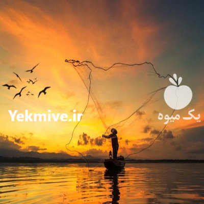 سرمایه گذاری پرورش ابریشم در مشهد در گروه سرمایه گذار در تولید محصولات کشاورزی در یکمیوه -عکس2