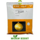 بذر پیاز ریوبراوو در اهواز در گروه خرید و فروش بذر پیاز در یکمیوه