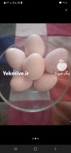 تخم بوقلمون خریدارم در بیرجند در گروه انواع تخم ها در یکمیوه
