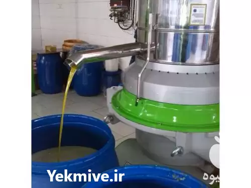 قیمت خرید روغن زیتون مستقیم در رودبار در گروه خرید و فروش انواع روغن در یکمیوه -عکس1