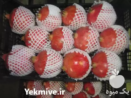 فروش فوم توری بسته بندی در تهران در گروه انواع بسته بندی محصول در یکمیوه -عکس1