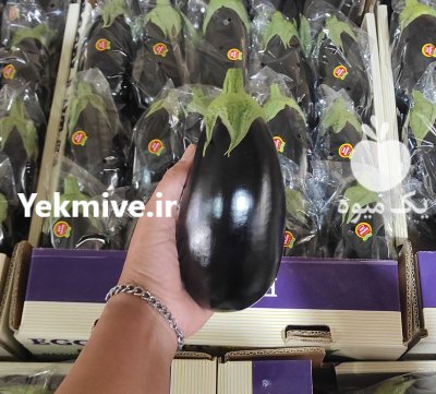 بادمجان لامپی گلخانه ای یزد در گروه خرید و فروش بادمجان در یکمیوه -عکس1