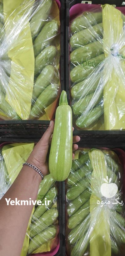 فروش کدو خورشتی صادراتی یزد در گروه خرید و فروش کدو در یکمیوه -عکس1