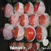 فروش فوم توری بسته بندی در تهران در گروه انواع بسته بندی محصول در یکمیوه