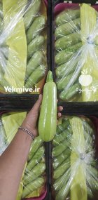 فروش کدو خورشتی صادراتی یزد در گروه خرید و فروش کدو در یکمیوه