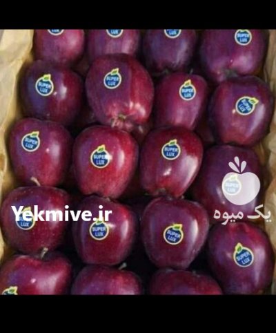 خریدار سیب انار پرتقال برای صادرات در ارومیه در گروه خرید و فروش پرتقال در یکمیوه -عکس1