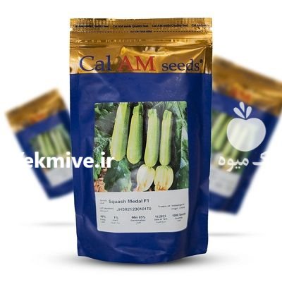 بذر کدو CalAMseed بذر کدو در اردبیل در گروه خرید و فروش بذر کدو در یکمیوه -عکس1