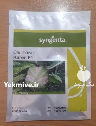 فروش بذر گل کلم کارن سینجنتا در اردبیل در گروه خرید و فروش انواع بذر در یکمیوه -عکس1