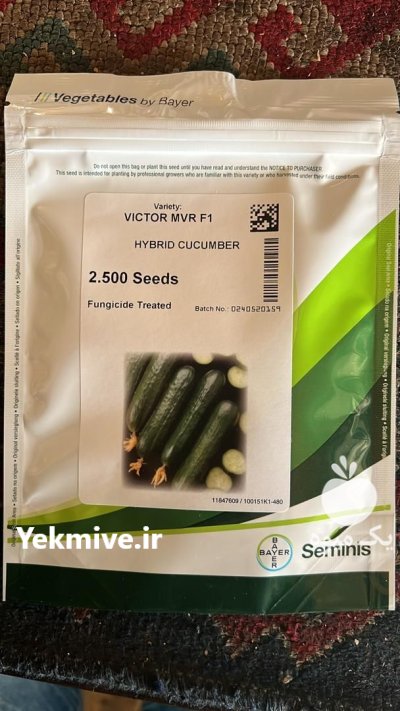 بذر خیار ویکتور در ساری در گروه خرید و فروش بذر خیار در یکمیوه -عکس1
