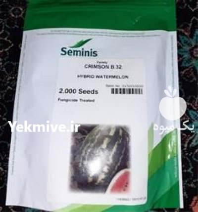 بذر هندوانه b 32 در کرمان در گروه خرید و فروش بذر هندوانه در یکمیوه -عکس1