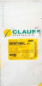 بذر ذرت سنتینل SENTINEL کلوز فرانسه در اردبیل در گروه خرید و فروش بذر ذرت در یکمیوه