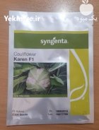 فروش بذر گل کلم کارن سینجنتا در اردبیل در گروه خرید و فروش انواع بذر در یکمیوه