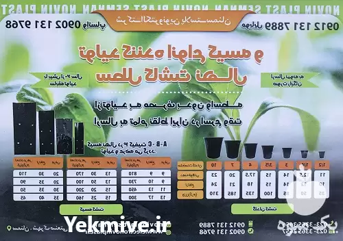 قیمت خرید پلاستیک کاشت نهال در سمنان در گروه خرید و فروش گلدان در یکمیوه -عکس1