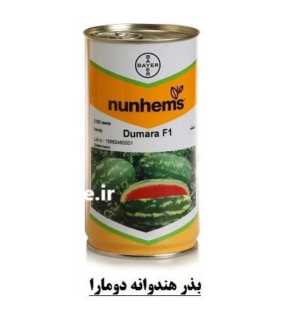 فروش بذر هندوانه Dumara F 1 نانهمز در شهرکرد در گروه خرید و فروش بذر هندوانه در یکمیوه -عکس1