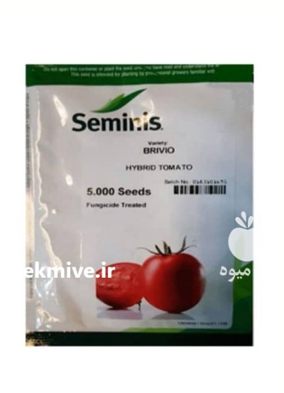بذر گوجه فرنگی بریویو در آزادشهر در گروه خرید و فروش بذر گوجه در یکمیوه -عکس1