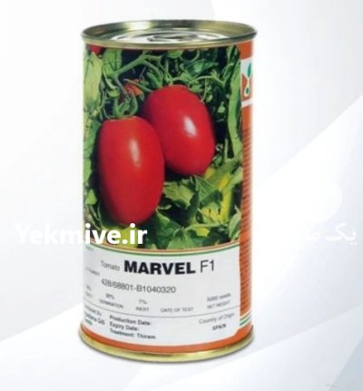 بذر گوجه فرنگی مارول میوه سفت در زابل  در گروه خرید و فروش بذر گوجه در یکمیوه -عکس1
