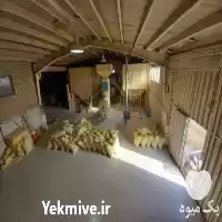 فروش خوراک دام و طیور در ابهر در گروه خوراک دام و طیور در یکمیوه