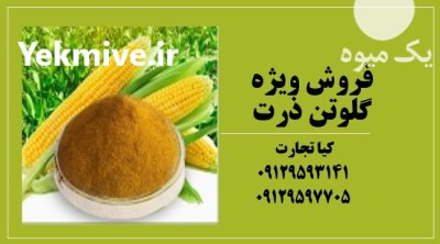 قیمت خرید ویژه گلوتن ذرت در تهران در گروه خوراک دام و طیور در یکمیوه -عکس1