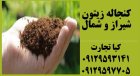 فروش ویژه کنجاله زیتون در تهران در گروه خوراک دام و طیور در یکمیوه