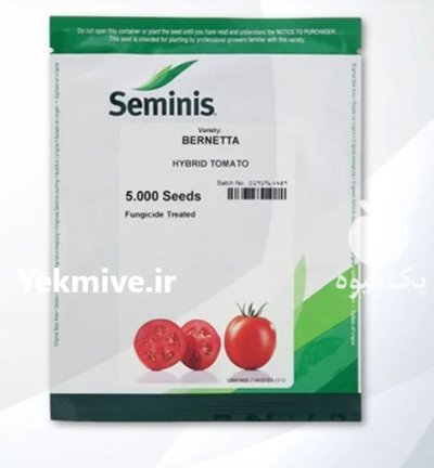 بذر گوجه فرنگی برنتا نسبتا زود در کوهپایه در گروه خرید و فروش بذر گوجه در یکمیوه -عکس1