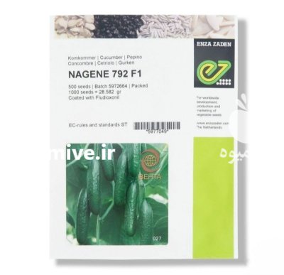 بذر خیار ناگین در اصفهان در گروه خرید و فروش بذر خیار در یکمیوه -عکس1