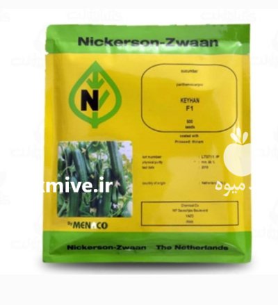 بذر خیار کیهان گلخانه ای کیهان در افوس در گروه خرید و فروش بذر خیار در یکمیوه -عکس1