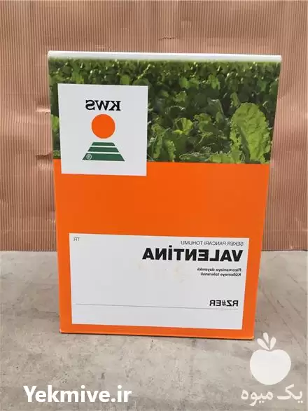 فروش بذر چغندر قند kws در تهران در گروه خرید و فروش بذر چغندر در یکمیوه -عکس1