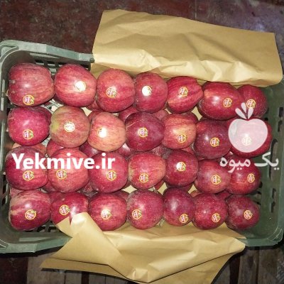 فروش سیب درختی لوکس زرد و قرمز در مشگین شهر در گروه خرید و فروش سیب در یکمیوه -عکس1