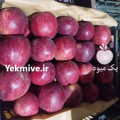 فروش سیب درختی لوکس زرد و قرمز در مشگین شهر در گروه خرید و فروش سیب در یکمیوه -عکس2