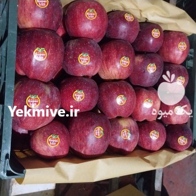 فروش سیب درختی لوکس زرد و قرمز در مشگین شهر در گروه خرید و فروش سیب در یکمیوه -عکس3