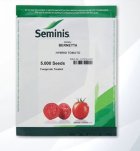 بذر گوجه فرنگی برنتا نسبتا زود در کوهپایه در گروه خرید و فروش بذر گوجه در یکمیوه