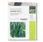 بذر خیار ناگین در آلونی در گروه خرید و فروش بذر خیار در یکمیوه