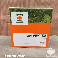 فروش بذر چغندر قند kws در تهران در گروه خرید و فروش بذر چغندر در یکمیوه