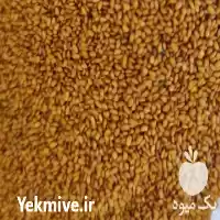 قیمت خرید خاکشیر در همدان در گروه خرید و فروش گیاهان دارویی در یکمیوه