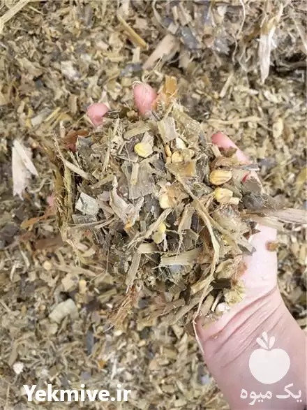 فروش ذرت علوفه بسته بندی فله در دزفول در گروه خوراک دام و طیور در یکمیوه -عکس1