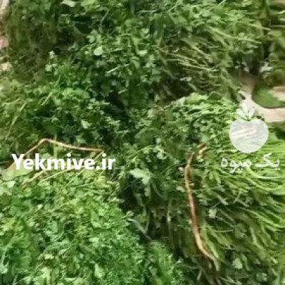 سبزی خورشتی در اصفهان در گروه خرید و فروش سبزی های برگی در یکمیوه -عکس3