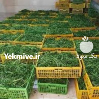 سبزی خورشتی در اصفهان در گروه خرید و فروش سبزی های برگی در یکمیوه -عکس4