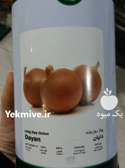بذر پیاز دایان در اصفهان در گروه خرید و فروش بذر پیاز در یکمیوه -عکس1
